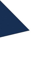 darkgrey-grasshopper-956308.hostingersite.com